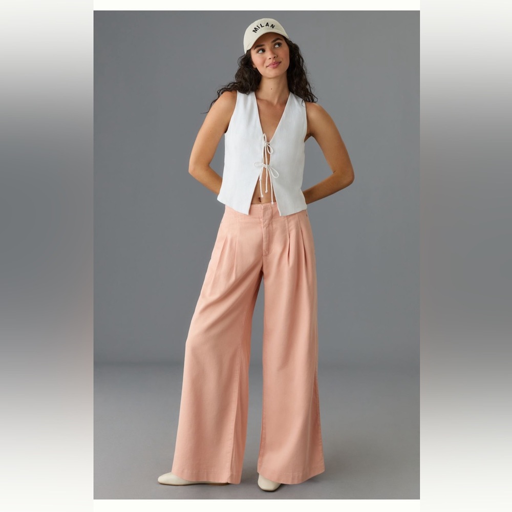 NWT Maeve pleated wide-leg pants